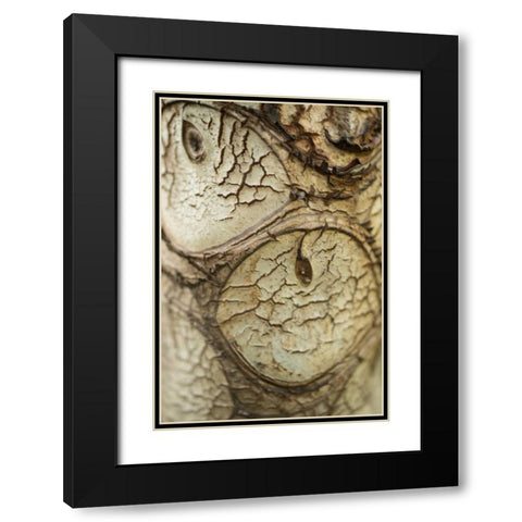 Bark Detail Black Modern Wood Framed Art Print with Double Matting by Berzel, Erin