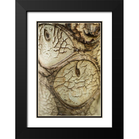 Bark Detail Black Modern Wood Framed Art Print with Double Matting by Berzel, Erin