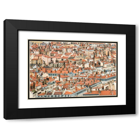 Lyon Rooftops II Black Modern Wood Framed Art Print with Double Matting by Berzel, Erin