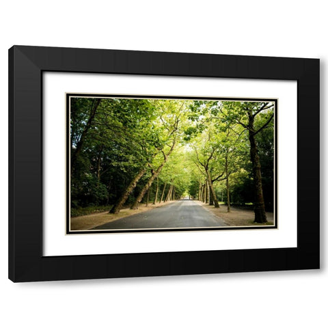 Amsterdam Vondelpark I Black Modern Wood Framed Art Print with Double Matting by Berzel, Erin