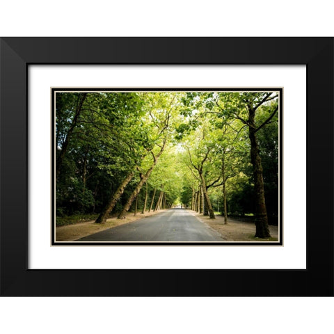 Amsterdam Vondelpark I Black Modern Wood Framed Art Print with Double Matting by Berzel, Erin