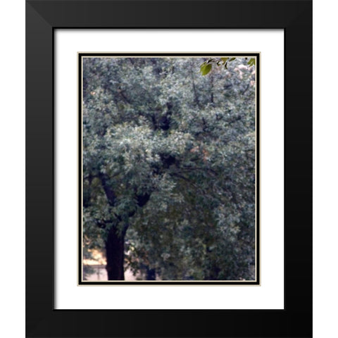 Bambino I Black Modern Wood Framed Art Print with Double Matting by Crane, Rita