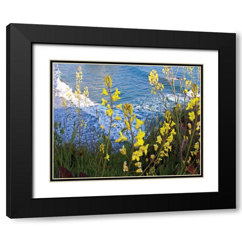 Wild Mustard Black Modern Wood Framed Art Print with Double Matting by Crane, Rita