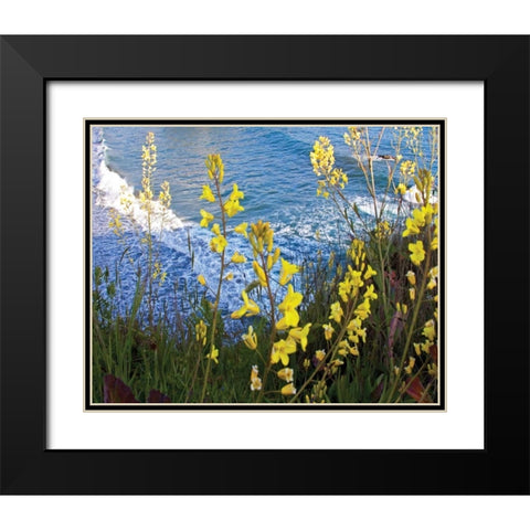 Wild Mustard Black Modern Wood Framed Art Print with Double Matting by Crane, Rita