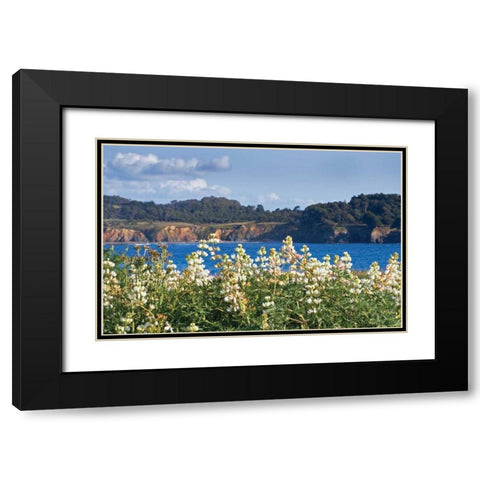 Wild Lupine Black Modern Wood Framed Art Print with Double Matting by Crane, Rita