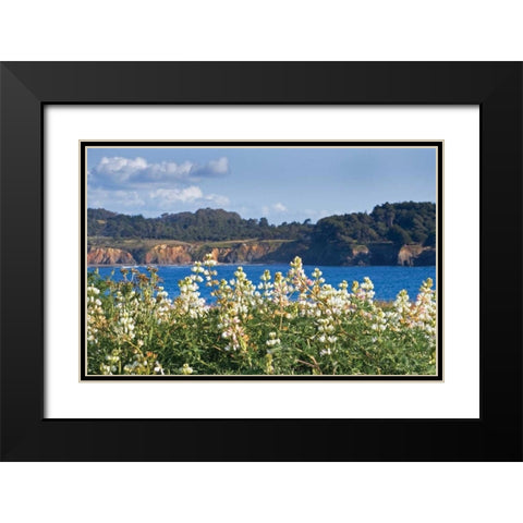 Wild Lupine Black Modern Wood Framed Art Print with Double Matting by Crane, Rita