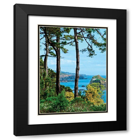 Sunny Afternoon Black Modern Wood Framed Art Print with Double Matting by Crane, Rita
