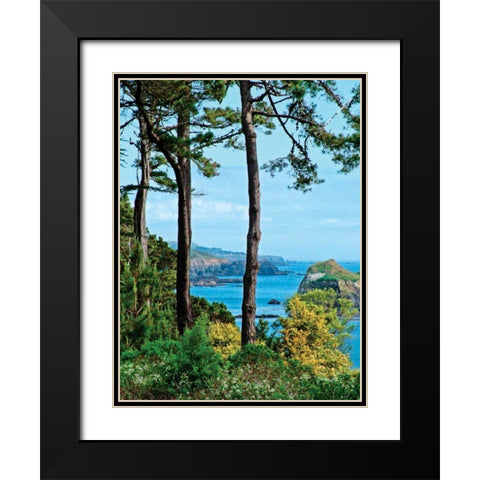 Sunny Afternoon Black Modern Wood Framed Art Print with Double Matting by Crane, Rita