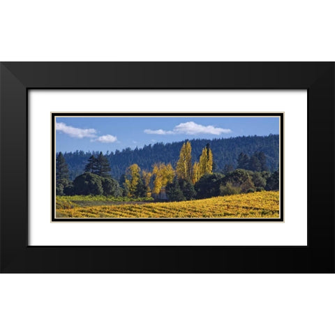 Autumn Gold I Black Modern Wood Framed Art Print with Double Matting by Crane, Rita