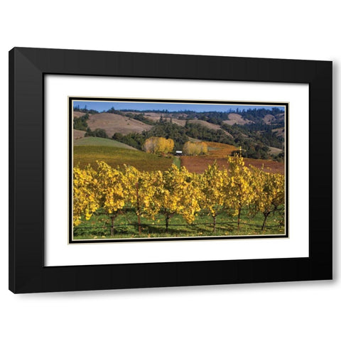 Barns and Vineyards I Black Modern Wood Framed Art Print with Double Matting by Crane, Rita
