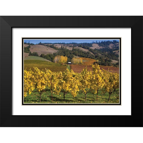 Barns and Vineyards I Black Modern Wood Framed Art Print with Double Matting by Crane, Rita