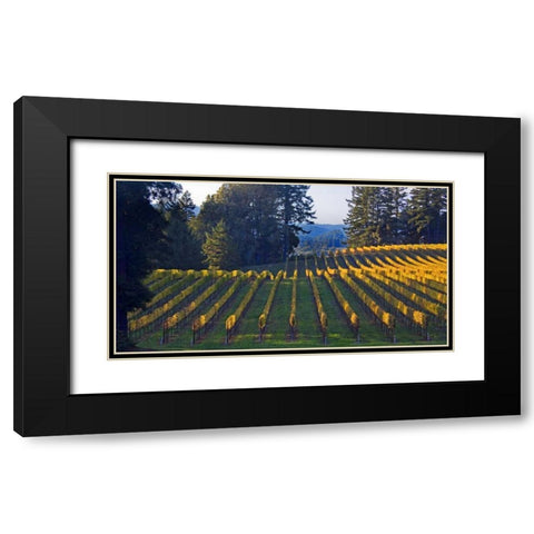 Golden Rows III Black Modern Wood Framed Art Print with Double Matting by Crane, Rita