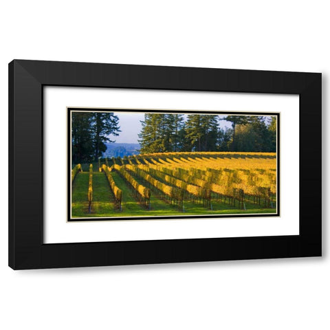 Golden Rows IV Black Modern Wood Framed Art Print with Double Matting by Crane, Rita