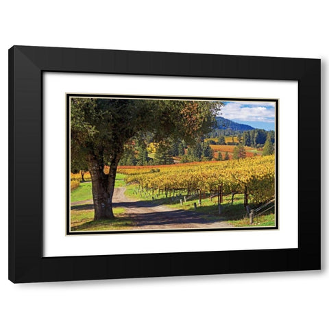 Oak and Vine I Black Modern Wood Framed Art Print with Double Matting by Crane, Rita