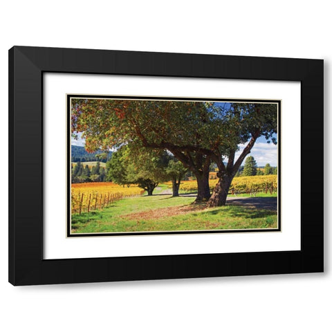 Oak and Vine II Black Modern Wood Framed Art Print with Double Matting by Crane, Rita