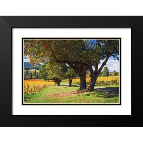 Oak and Vine II Black Modern Wood Framed Art Print with Double Matting by Crane, Rita