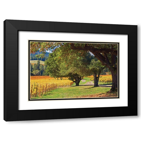 Oak and Vine III Black Modern Wood Framed Art Print with Double Matting by Crane, Rita