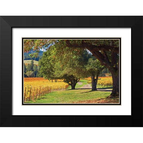 Oak and Vine III Black Modern Wood Framed Art Print with Double Matting by Crane, Rita