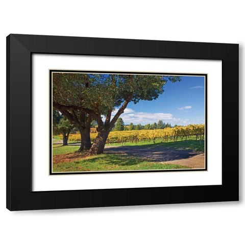 Oak and Vine IV Black Modern Wood Framed Art Print with Double Matting by Crane, Rita