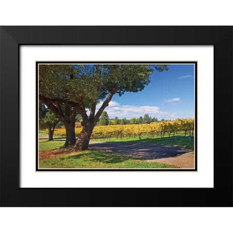 Oak and Vine IV Black Modern Wood Framed Art Print with Double Matting by Crane, Rita