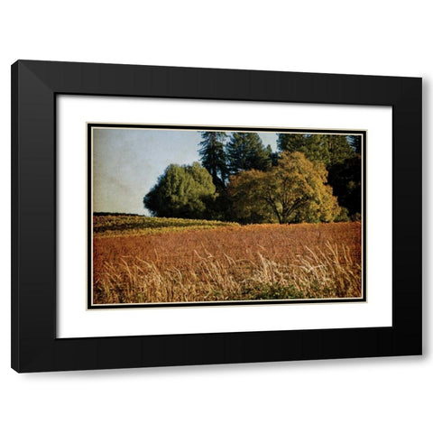 Vineyard Tapestry II Black Modern Wood Framed Art Print with Double Matting by Crane, Rita