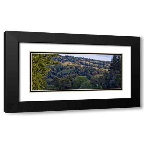 Woodland Pastures I Black Modern Wood Framed Art Print with Double Matting by Crane, Rita