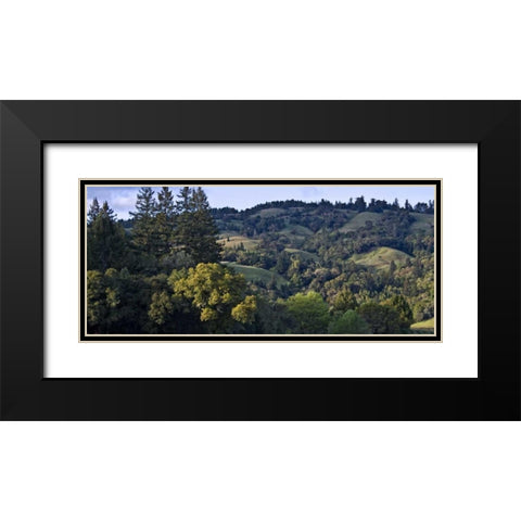 Woodland Pastures II Black Modern Wood Framed Art Print with Double Matting by Crane, Rita