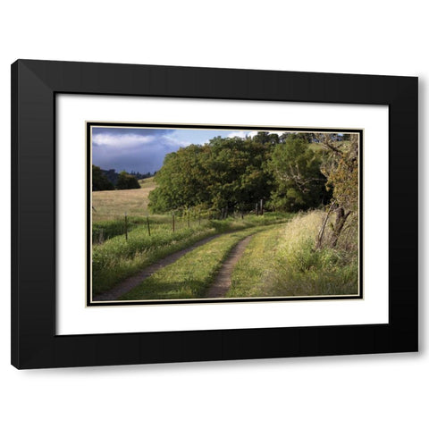 In the Country II Black Modern Wood Framed Art Print with Double Matting by Crane, Rita