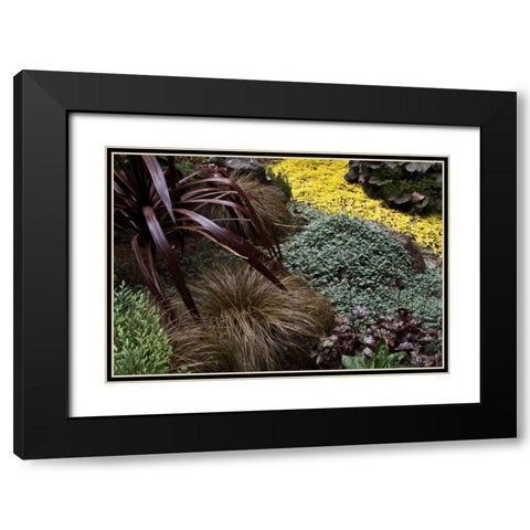 Garden Glimpse IV Black Modern Wood Framed Art Print with Double Matting by Crane, Rita