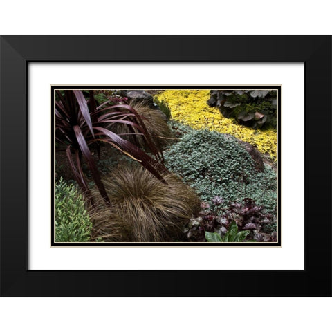 Garden Glimpse IV Black Modern Wood Framed Art Print with Double Matting by Crane, Rita