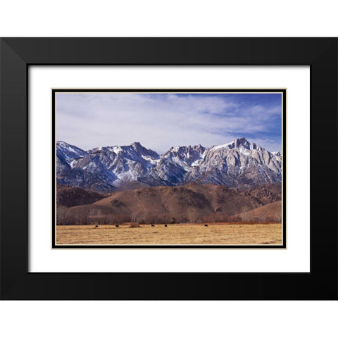 Mt. Whitney Range II Black Modern Wood Framed Art Print with Double Matting by Crane, Rita