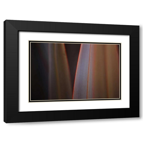 Leaves With Red I Black Modern Wood Framed Art Print with Double Matting by Crane, Rita