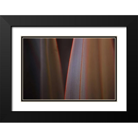 Leaves With Red I Black Modern Wood Framed Art Print with Double Matting by Crane, Rita