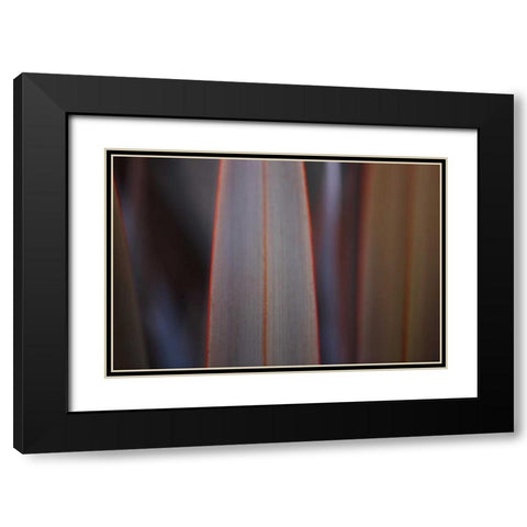 Leaves With Red II Black Modern Wood Framed Art Print with Double Matting by Crane, Rita