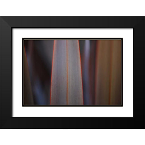Leaves With Red II Black Modern Wood Framed Art Print with Double Matting by Crane, Rita