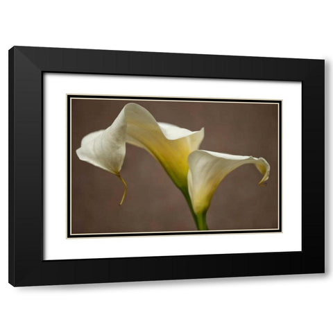 Calla Elegance I Black Modern Wood Framed Art Print with Double Matting by Crane, Rita