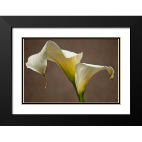 Calla Elegance I Black Modern Wood Framed Art Print with Double Matting by Crane, Rita