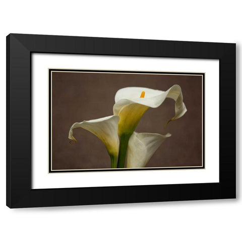 Calla Elegance II Black Modern Wood Framed Art Print with Double Matting by Crane, Rita