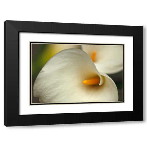 Calla Lilies I Black Modern Wood Framed Art Print with Double Matting by Crane, Rita