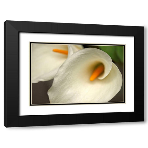 Calla Lilies IV Black Modern Wood Framed Art Print with Double Matting by Crane, Rita