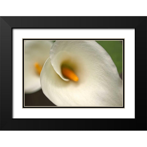 Calla Lilies VI Black Modern Wood Framed Art Print with Double Matting by Crane, Rita