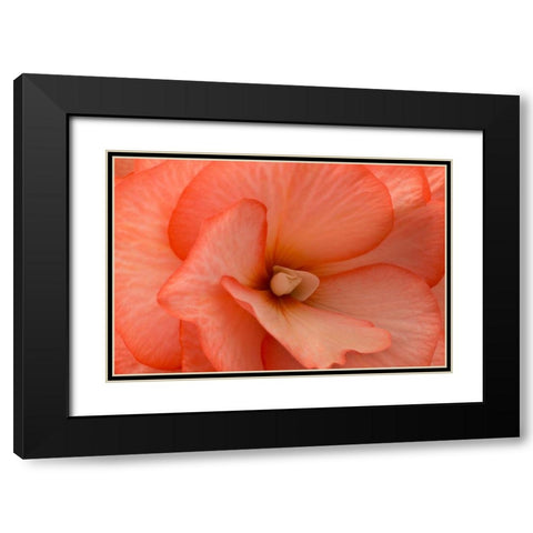 Orange Ruffles V Black Modern Wood Framed Art Print with Double Matting by Crane, Rita