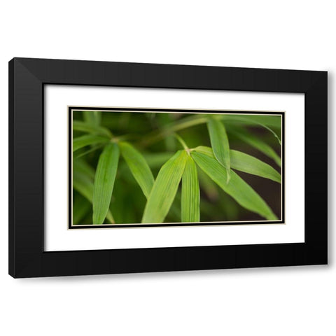 Bamboo Leaves I Black Modern Wood Framed Art Print with Double Matting by Crane, Rita