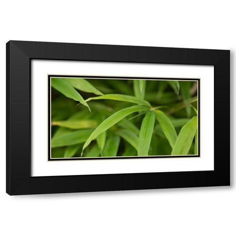Bamboo Leaves II Black Modern Wood Framed Art Print with Double Matting by Crane, Rita