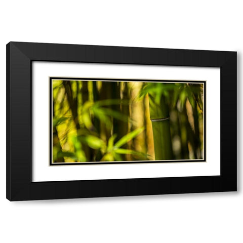 Bamboo Afternoon II Black Modern Wood Framed Art Print with Double Matting by Crane, Rita