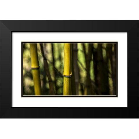 Bamboo Afternoon III Black Modern Wood Framed Art Print with Double Matting by Crane, Rita