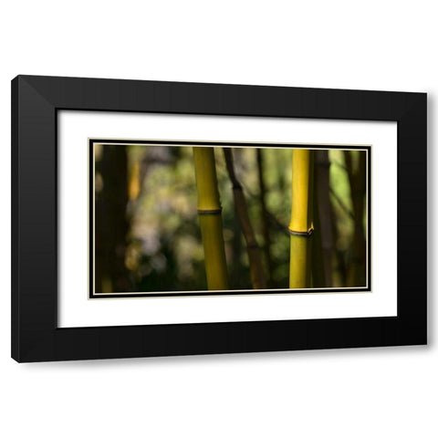 Bamboo Afternoon IV Black Modern Wood Framed Art Print with Double Matting by Crane, Rita
