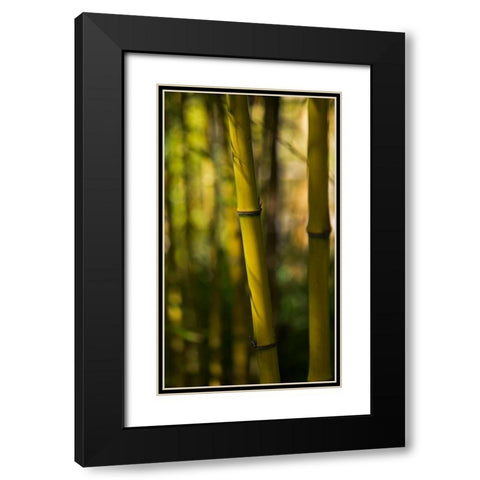 Bamboo Afternoon VII Black Modern Wood Framed Art Print with Double Matting by Crane, Rita