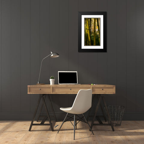 Bamboo Afternoon VIII Black Modern Wood Framed Art Print with Double Matting by Crane, Rita