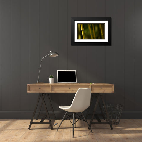 Bamboo Afternoon V Black Modern Wood Framed Art Print with Double Matting by Crane, Rita